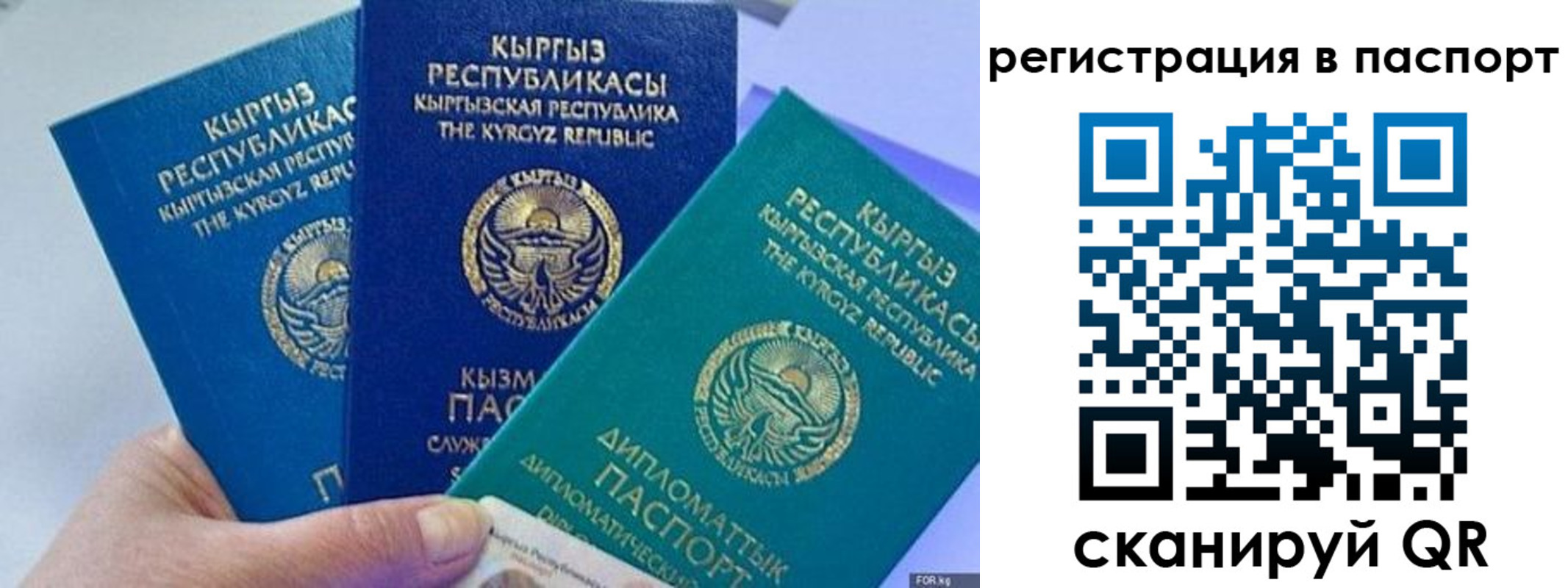 прописка 2025 в Таганроге